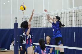 industry-solution-display